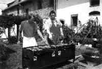 grillen.jpg (3437 Byte)